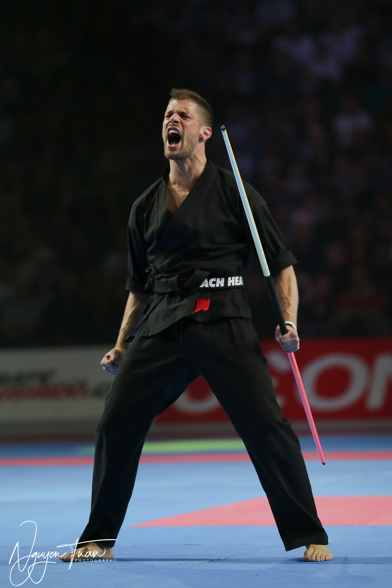 20190324 Festival des Arts Martiaux 4430